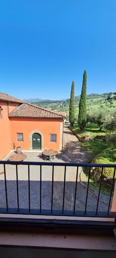 Agriturismo Villa Sardini Lucca Exterior photo
