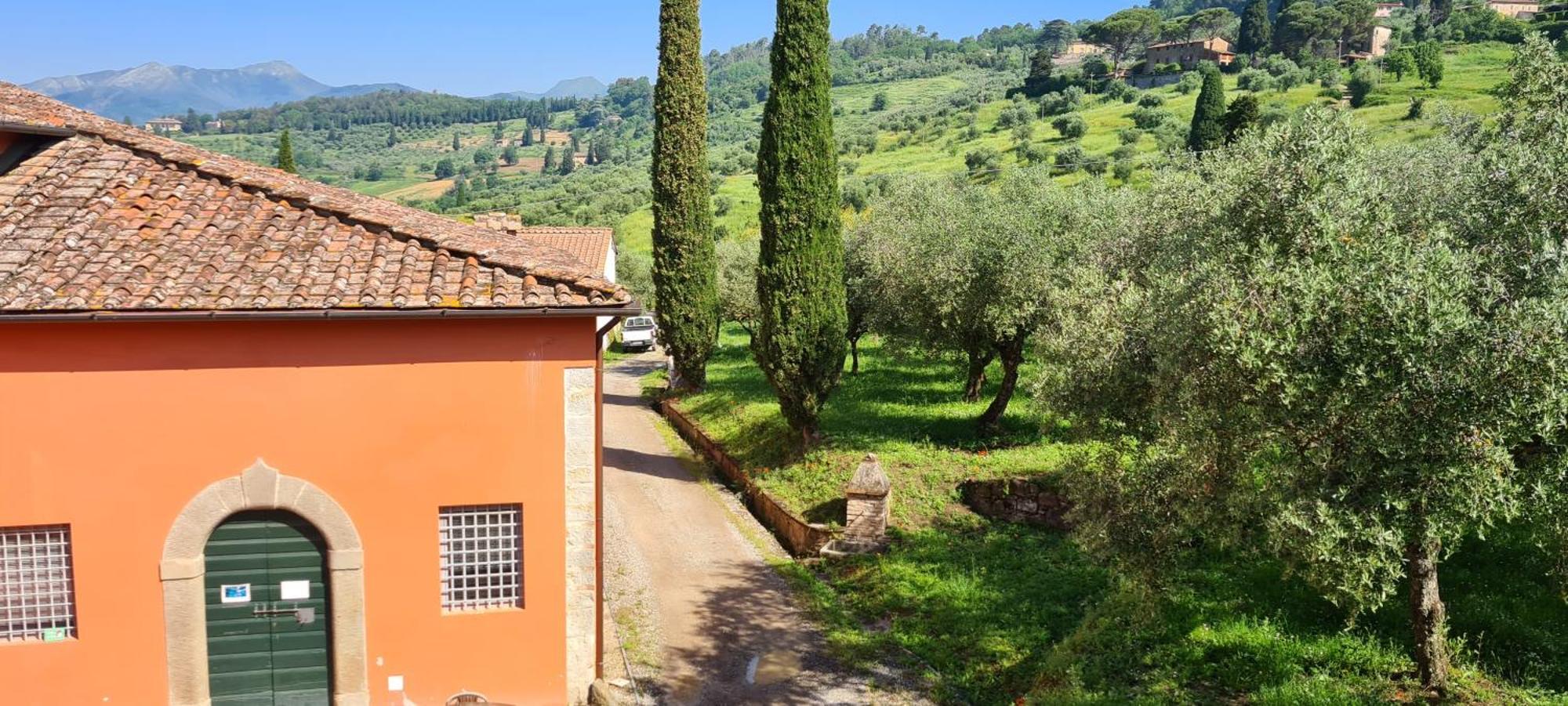 Agriturismo Villa Sardini Lucca Exterior photo